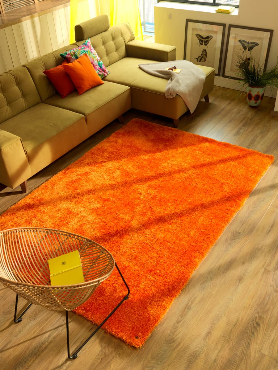 Een woonkamer met een bank en een groot oranje vloerkleed
