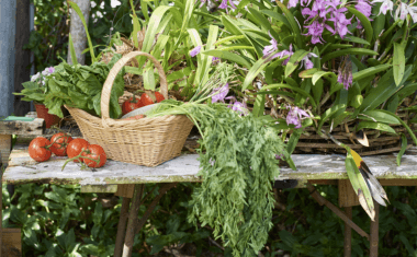 Inspiratie: 10 tips om je thuis te vermaken!