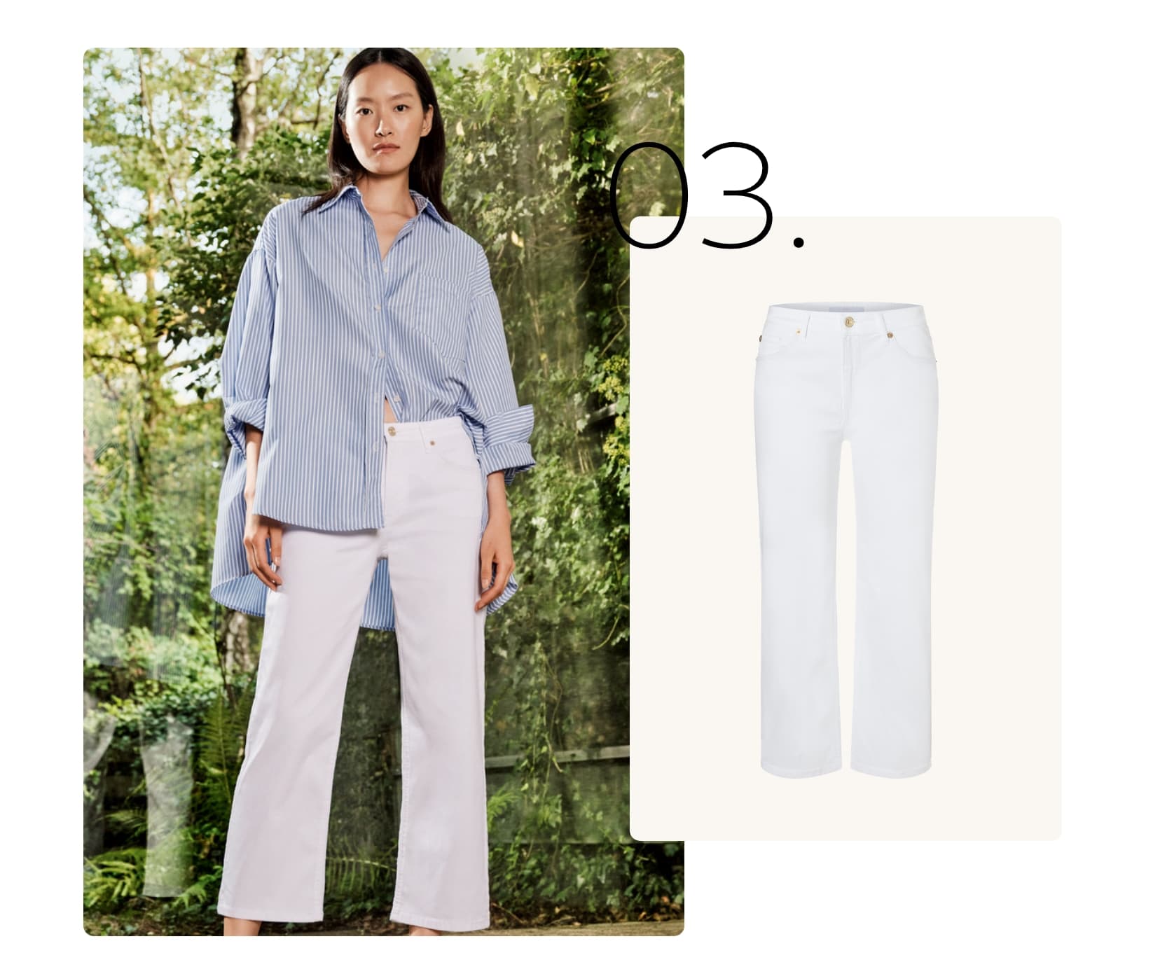 Culotte